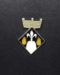 pin escudo fogars de montclus