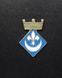 pin escudo folgueroles