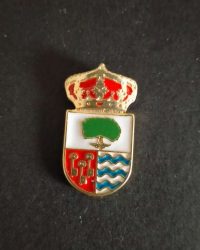 PIN ESCUDO FONDÓN
