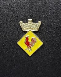 pin escudo gallifa