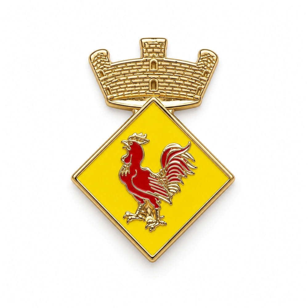 pin escudo gallifa