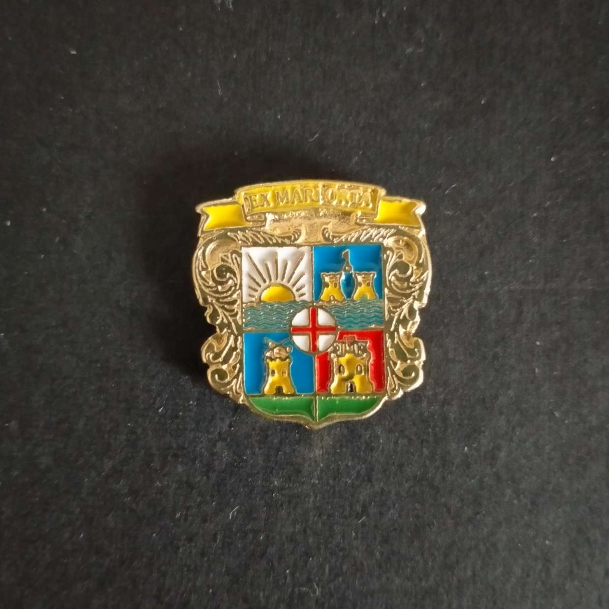 PIN ESCUDO GARRUCHA