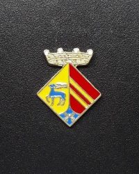 pin escudo gelida
