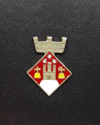 pin escudo gurb