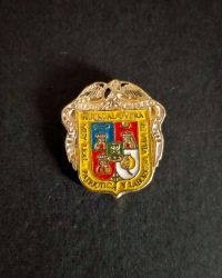 PIN ESCUDO DE HUÉRCAL-OVERA