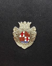 pin escudo igualada