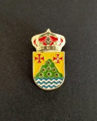 pin escudo irijoa