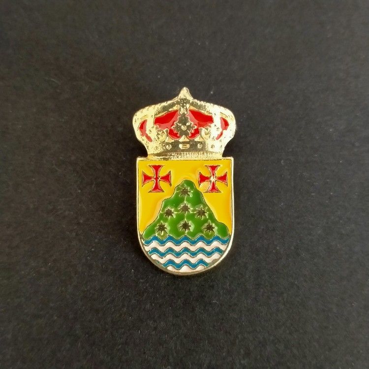 pin escudo irijoa