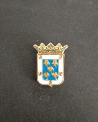 PIN ESCUDO JAYENA