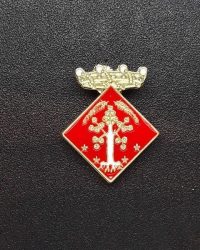 pin escut Albi, L'