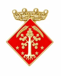pin escudo l'Albi