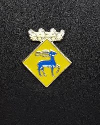 pin escudo la llacuna