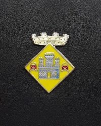 pin escudo lluça