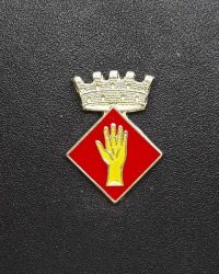 pin escudo manlleu