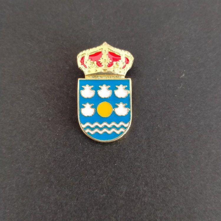 pin escudo mañon