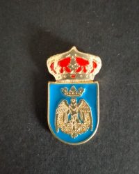 pin escudo maria
