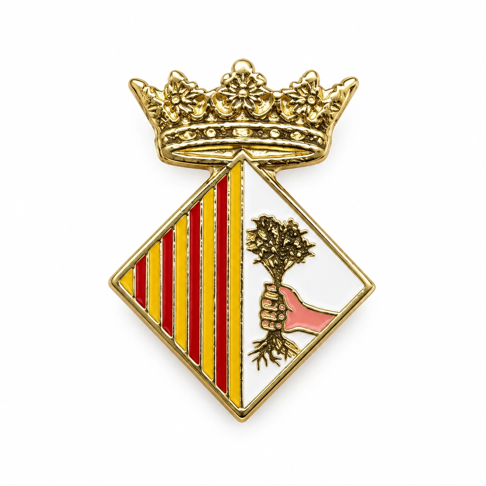 pin escudo mataro