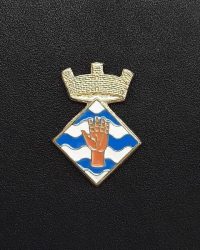 pin escudo mediona