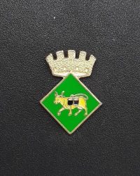 pin escudo menarguens