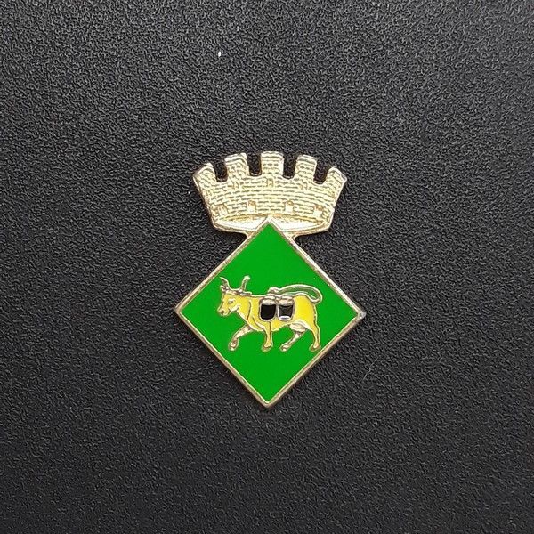 pin escudo menarguens