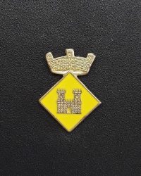pin escudo montesquiu