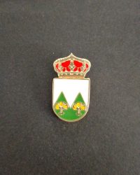 PIN ESCUDO MONTILLANA