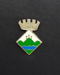 pin escudo montmelo