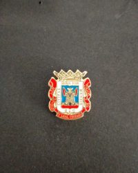 PIN ESCUDO MOTRIL