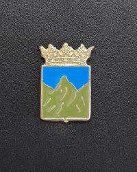pin escudo muntanyola