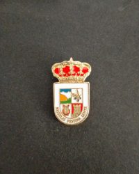PIN ESCUDO NIGÜELAS