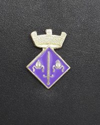 pin escudo la nou del bergueda