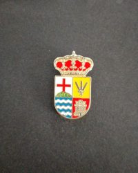 PIN ESCUDO PADUL