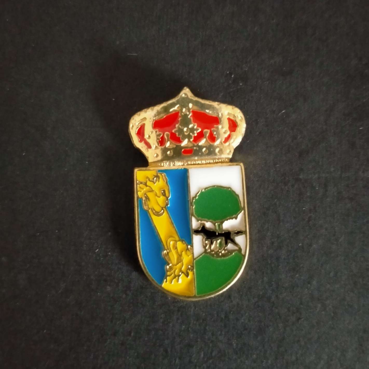 pin escudo partaloa