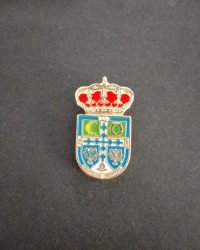PIN ESCUDO PELIGROS