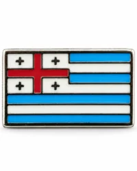 pin bandera ayaria