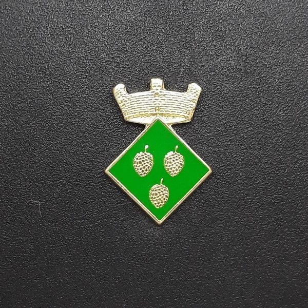 pin escudo pinell del solsones