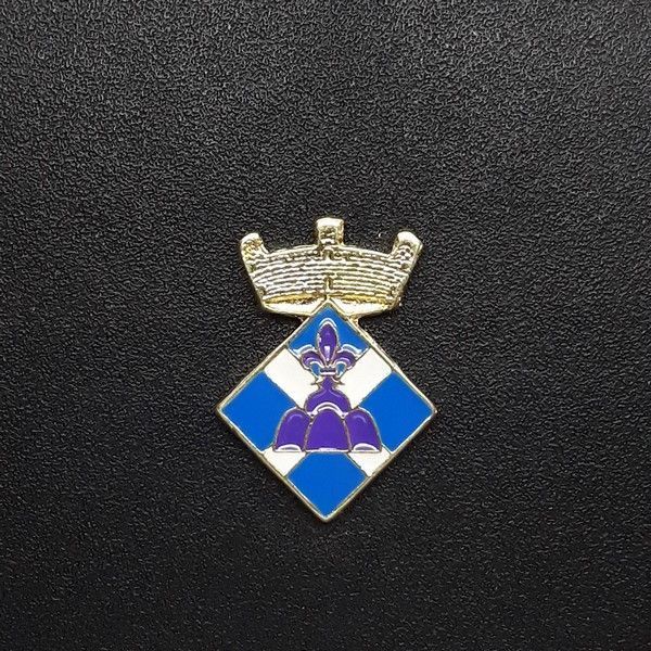 pin escudo pujalt