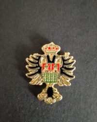 PIN ESCUDO PULPÍ