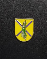 pin escudo sagas