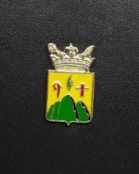 pin escudo saldes
