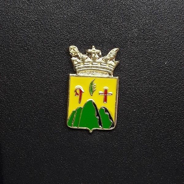 pin escudo saldes