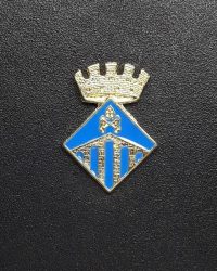 pin escudo sallent