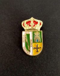 pin escudo san saturnino