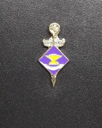pin escudo sant adria de besos