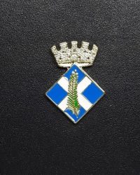 pin escudo sant andreu de llavaneres