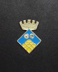 pin escudo sant feliu de codines