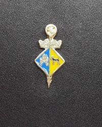 pin escudo sant hipolit de voltrega