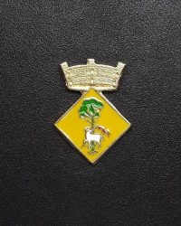pin escudo sant joan les fonts