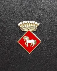 pin escudo sant marti sesgueioles