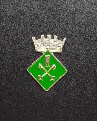 pin escudo sant pere de torello